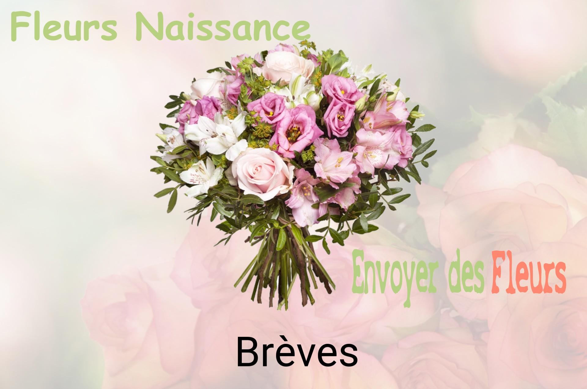 Bouquet de fleurs de naissance livré à Brèves